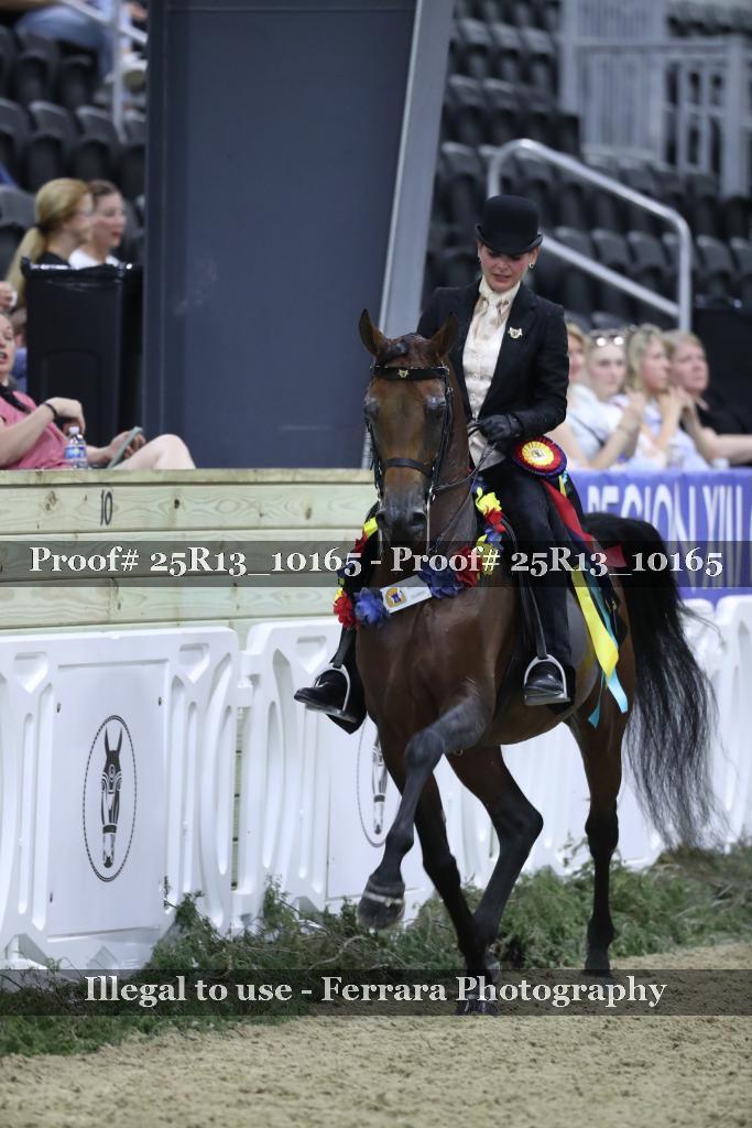 Proof 25R13_10165