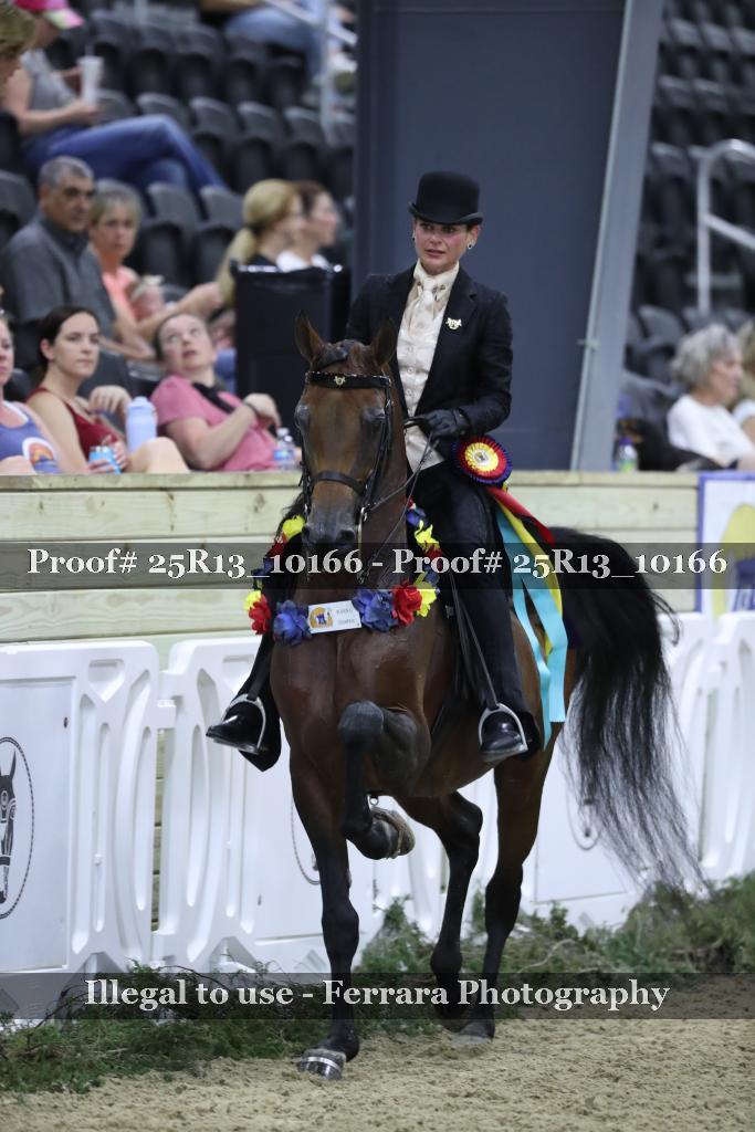 Proof 25R13_10166