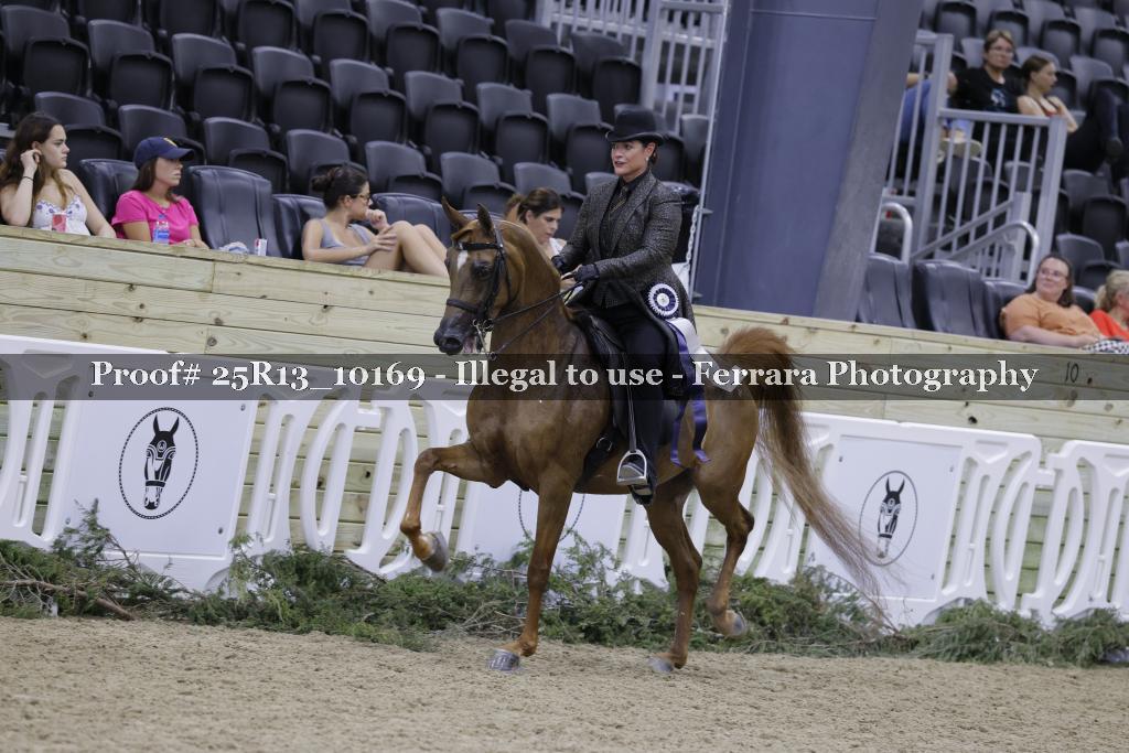 Proof 25R13_10169