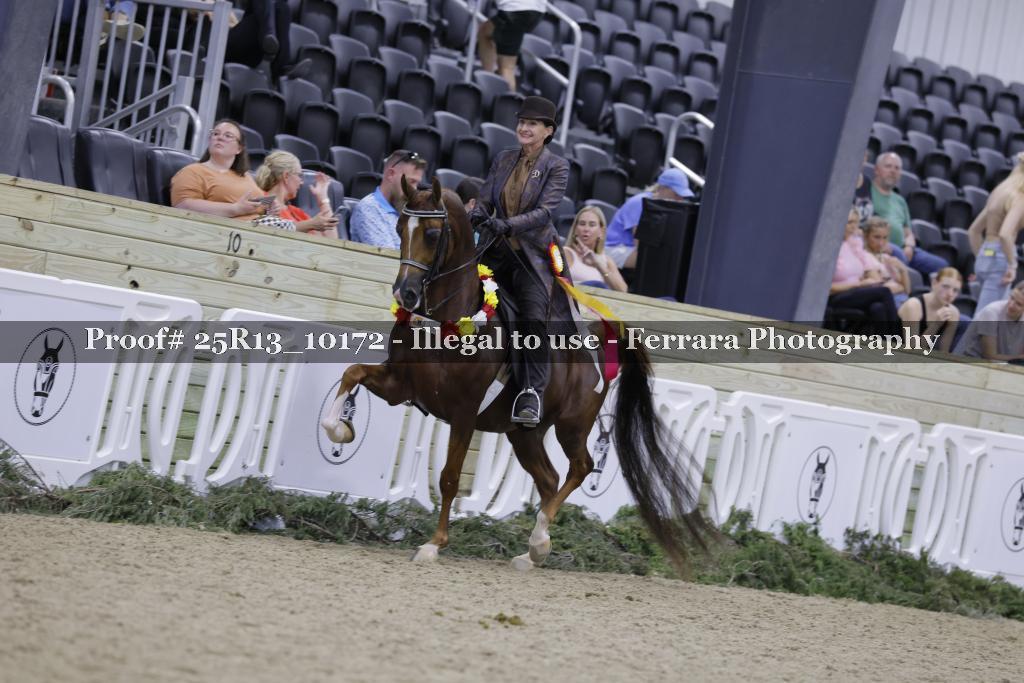 Proof 25R13_10172