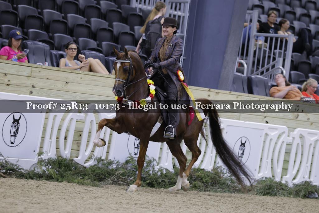 Proof 25R13_10173