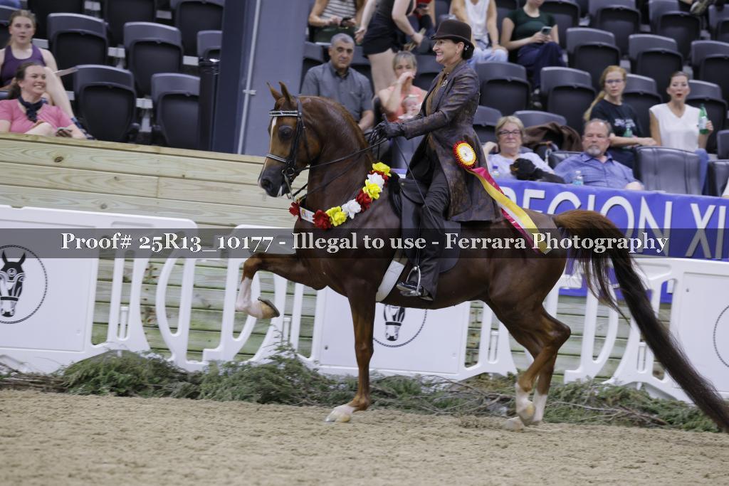 Proof 25R13_10177