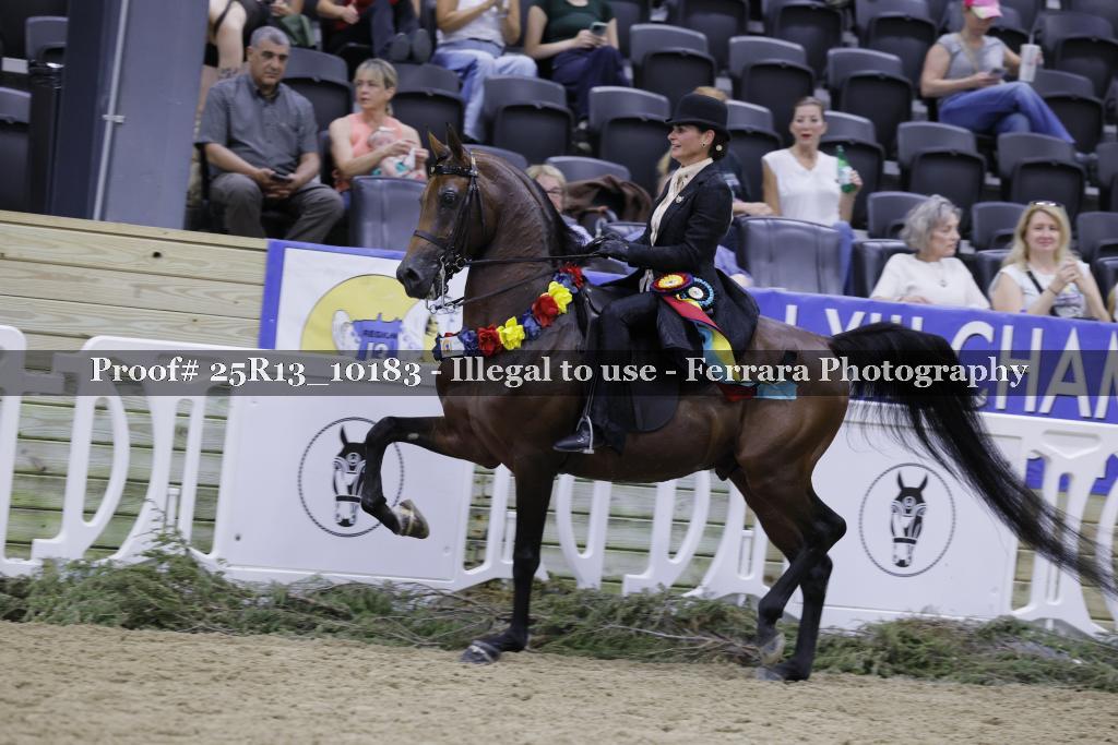 Proof 25R13_10183