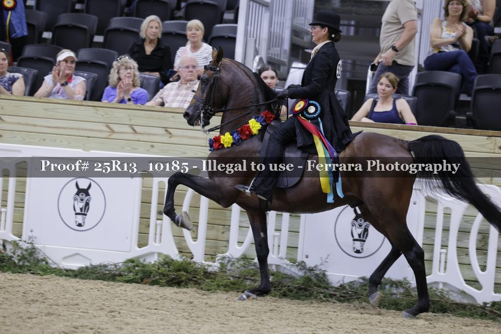 Proof 25R13_10185