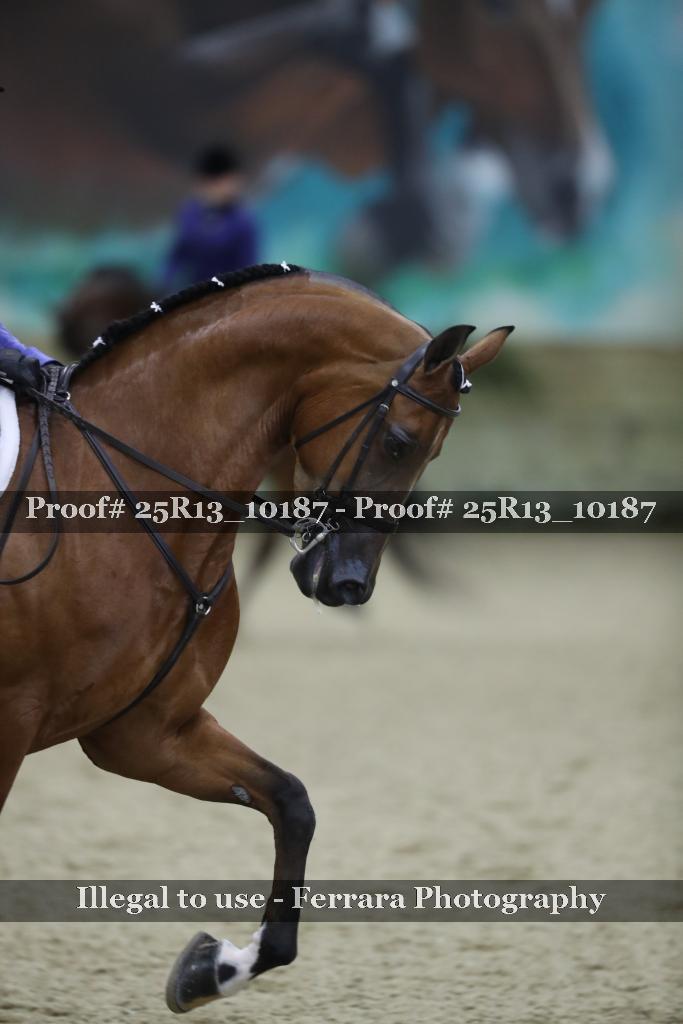 Proof 25R13_10187
