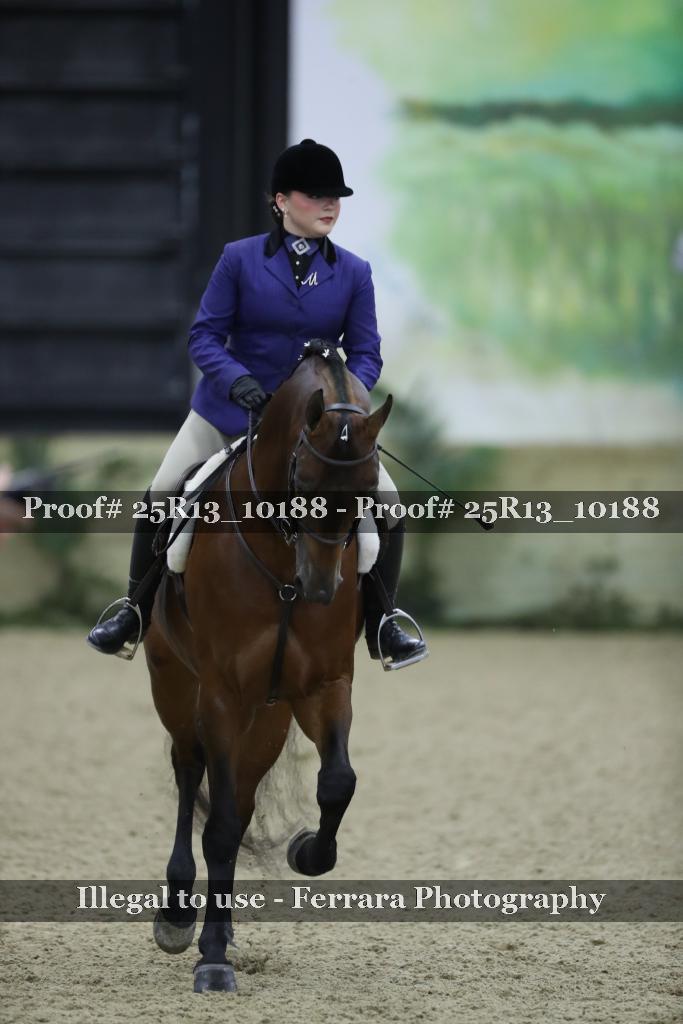 Proof 25R13_10188