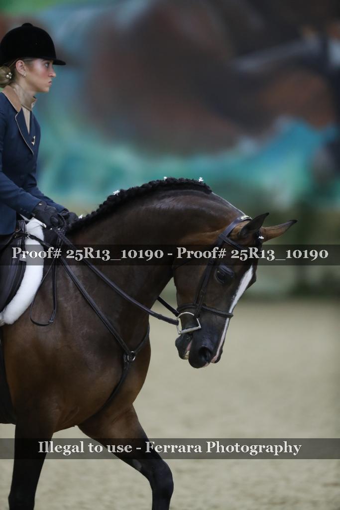 Proof 25R13_10190