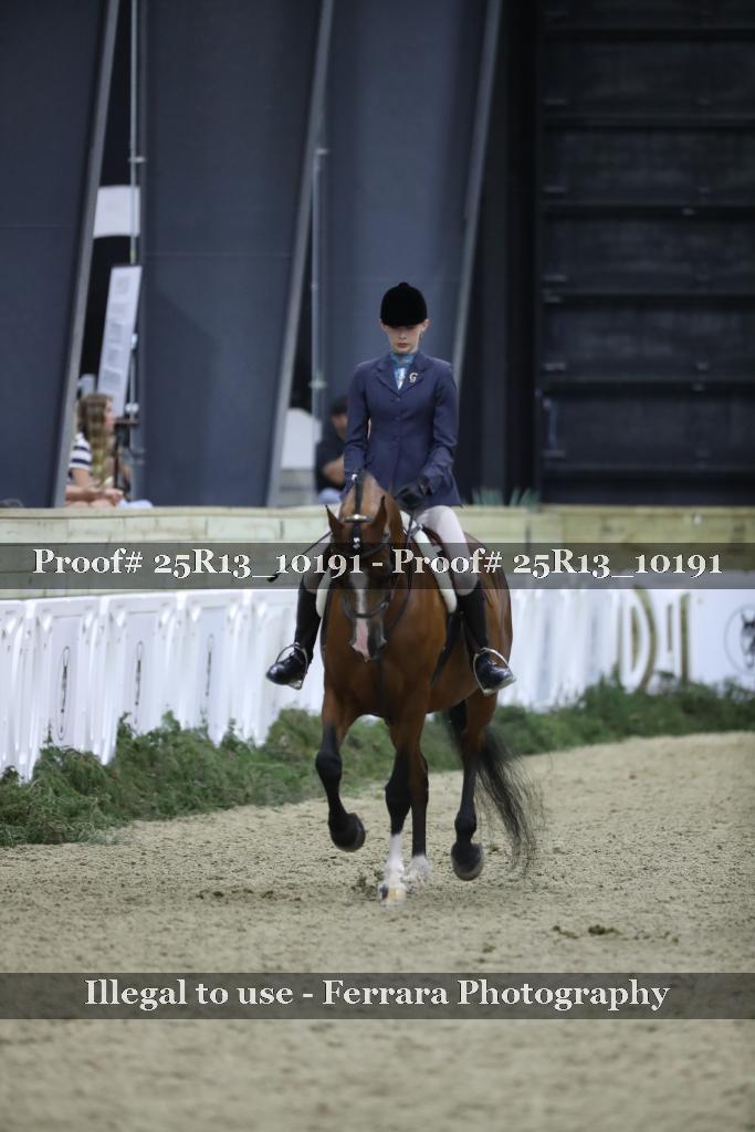 Proof 25R13_10191