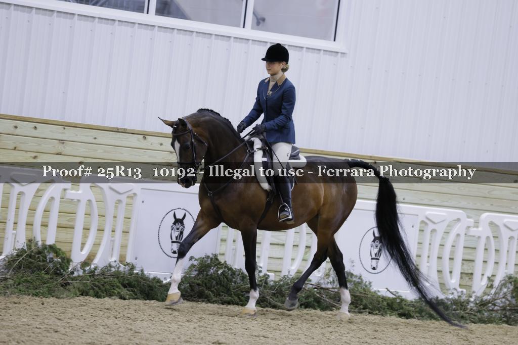 Proof 25R13_10192
