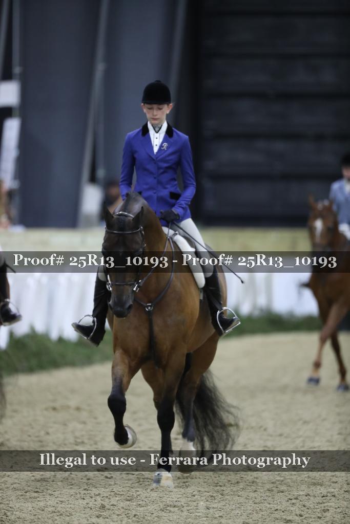 Proof 25R13_10193