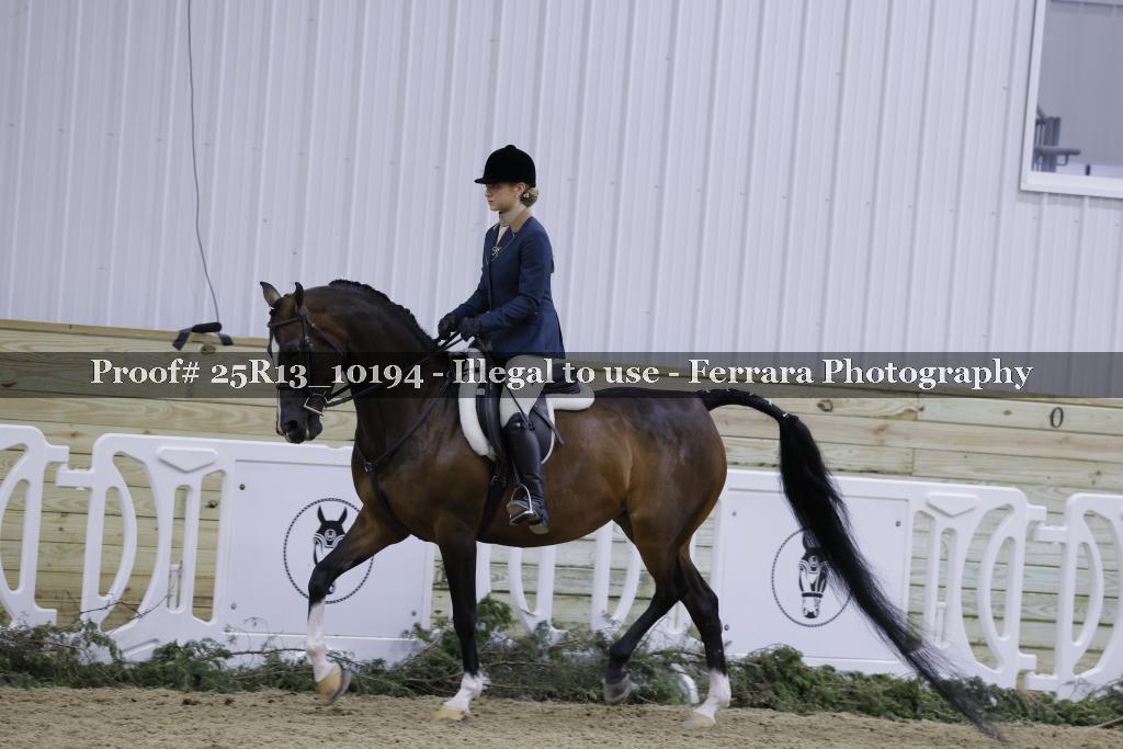 Proof 25R13_10194