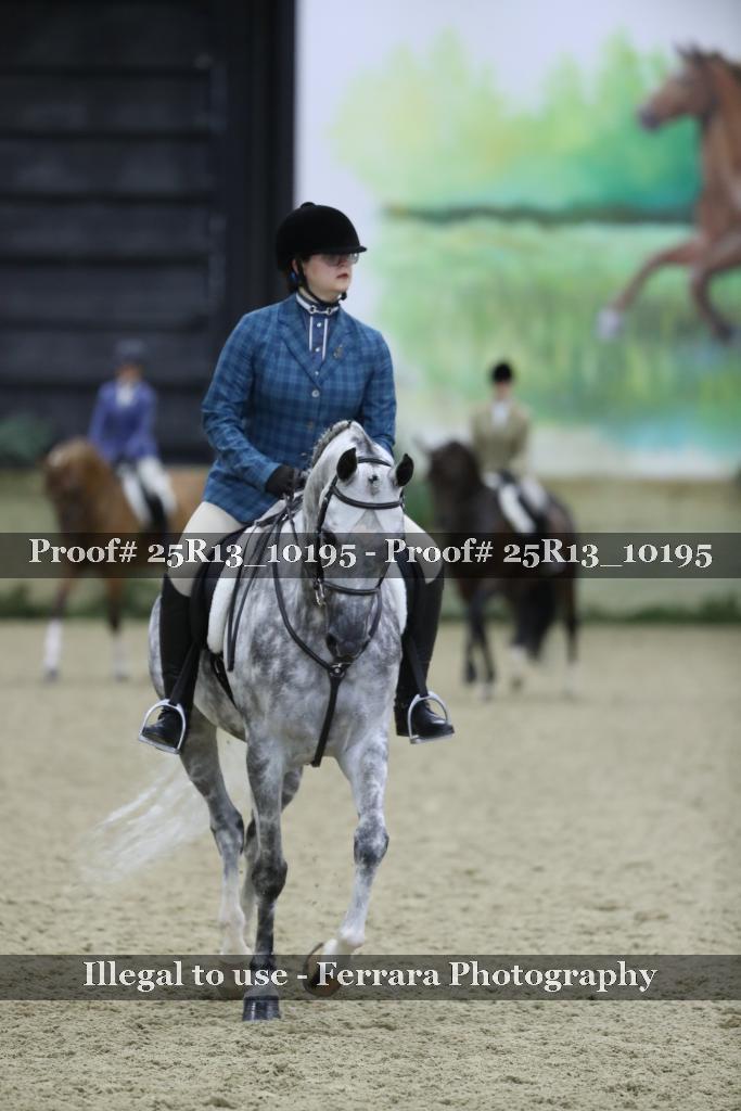 Proof 25R13_10195