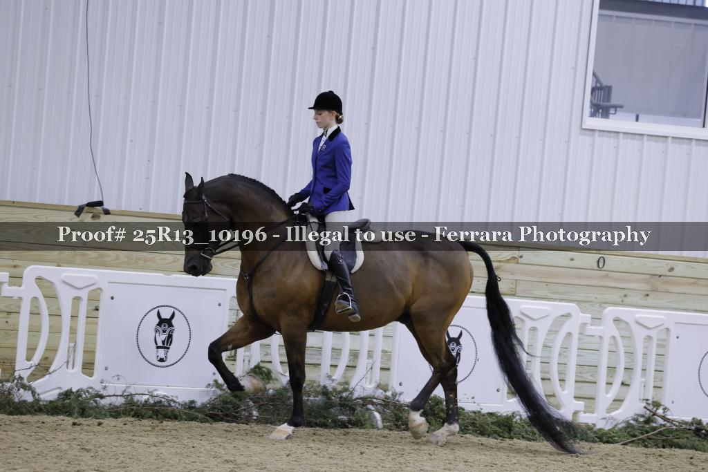 Proof 25R13_10196