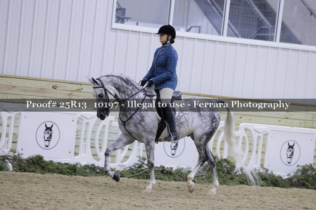 Proof 25R13_10197