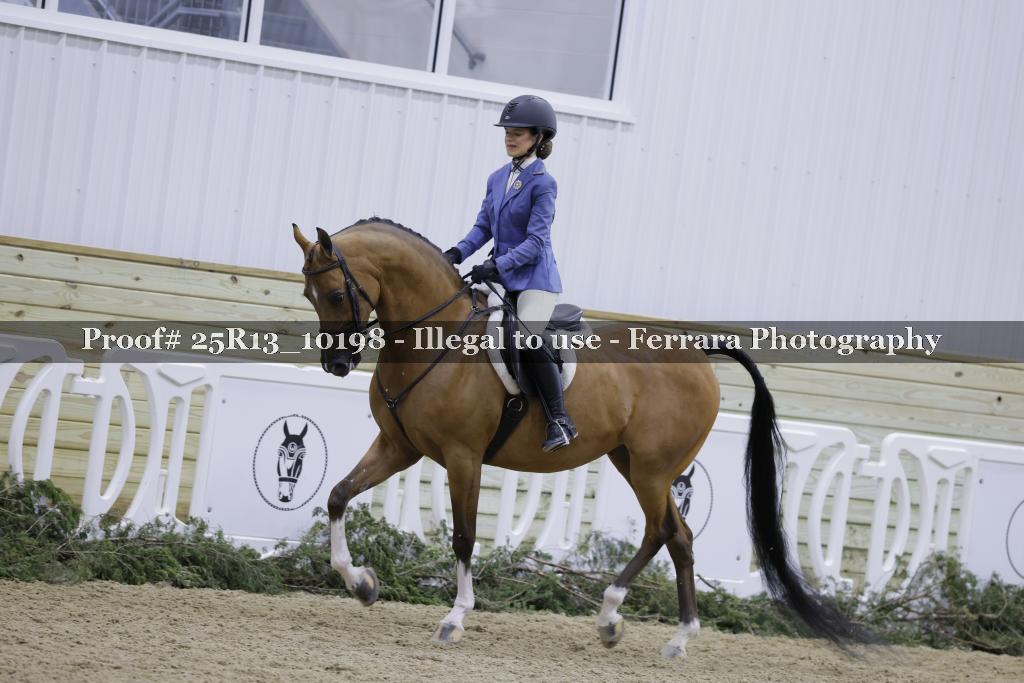 Proof 25R13_10198