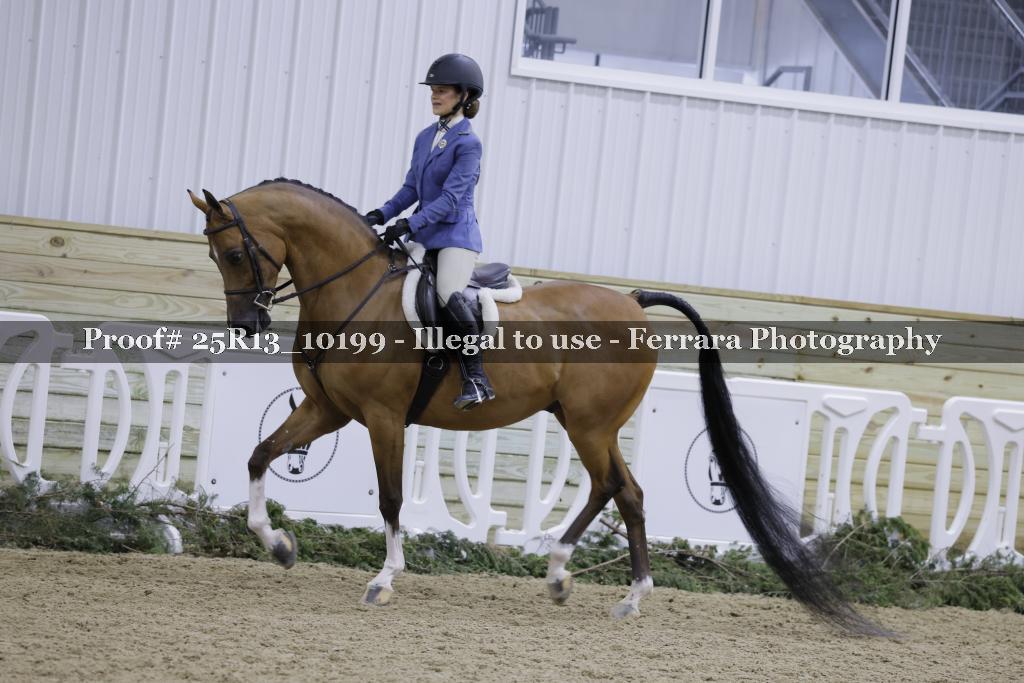 Proof 25R13_10199