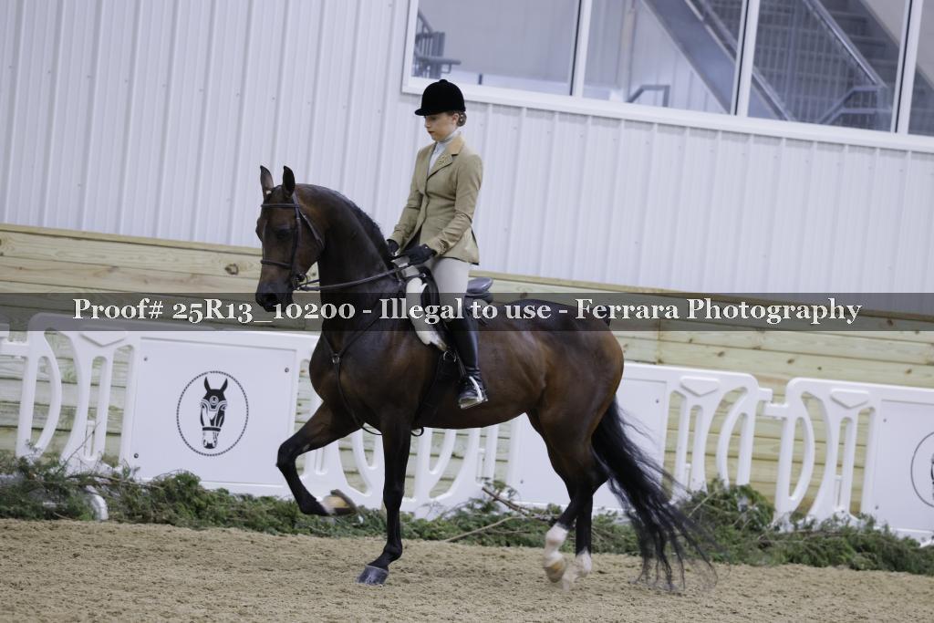 Proof 25R13_10200