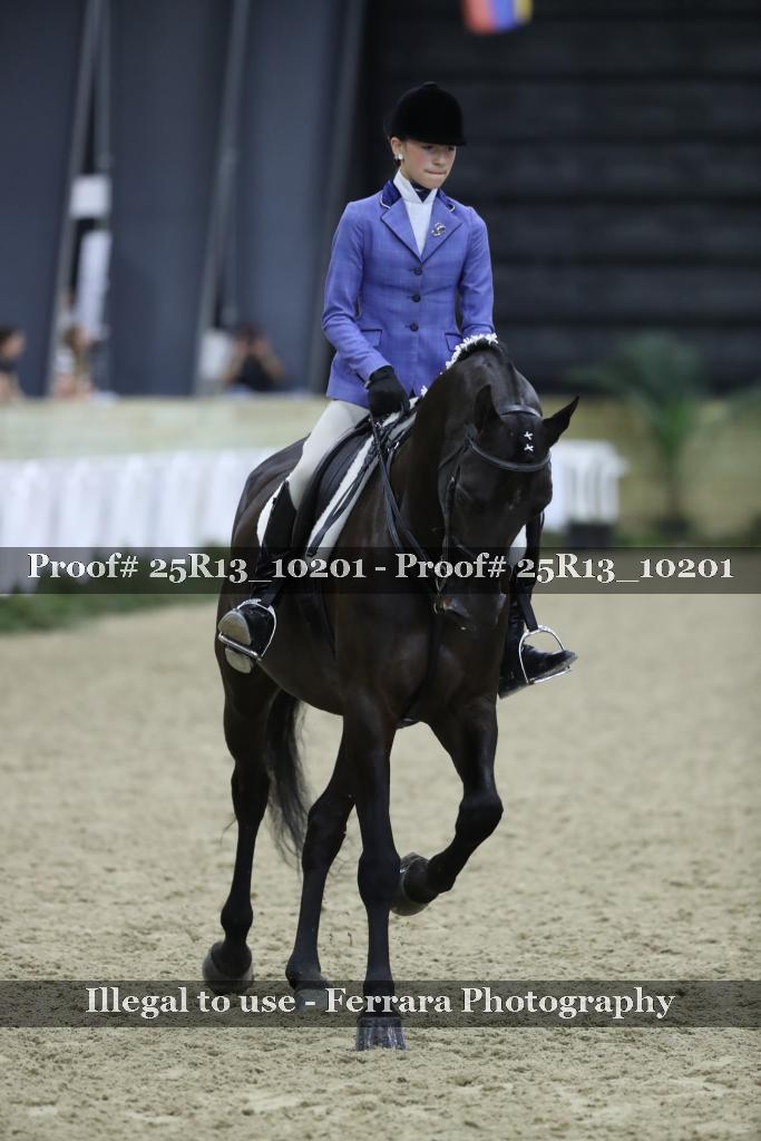 Proof 25R13_10201