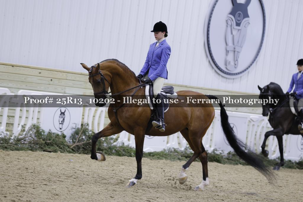 Proof 25R13_10202