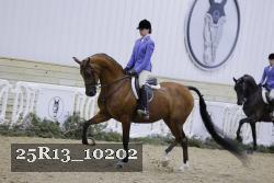 25R13_10202 proof