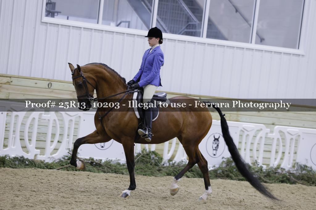 Proof 25R13_10203