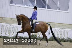 25R13_10203 proof