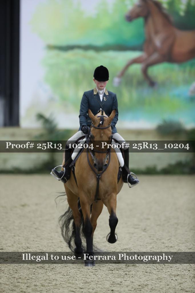 Proof 25R13_10204