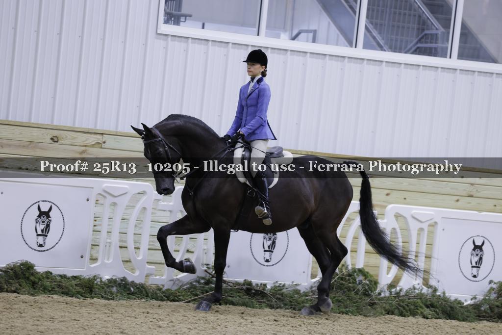 Proof 25R13_10205