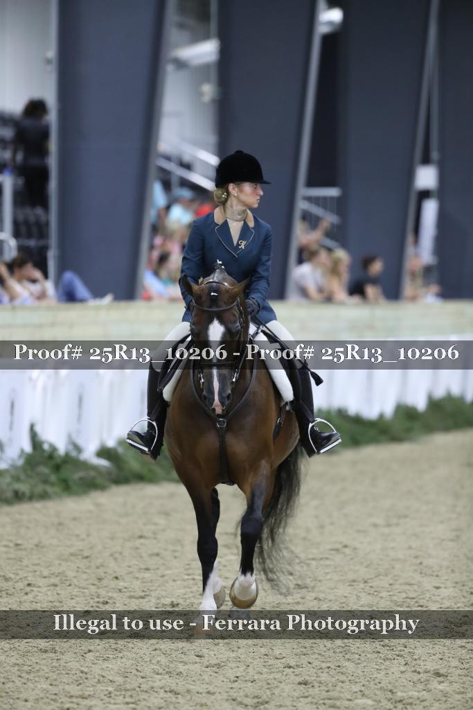 Proof 25R13_10206