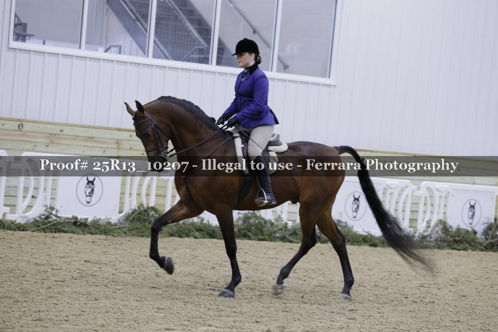 Proof 25R13_10207