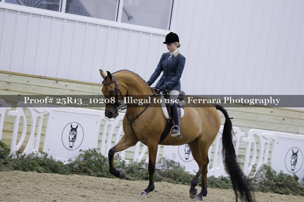 Proof 25R13_10208