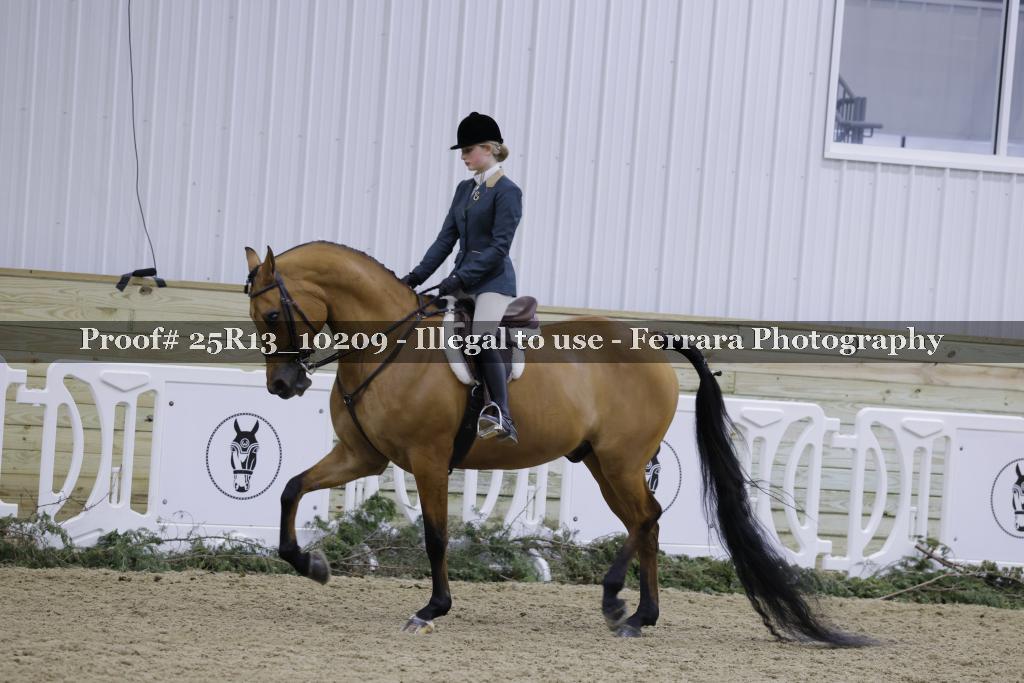 Proof 25R13_10209