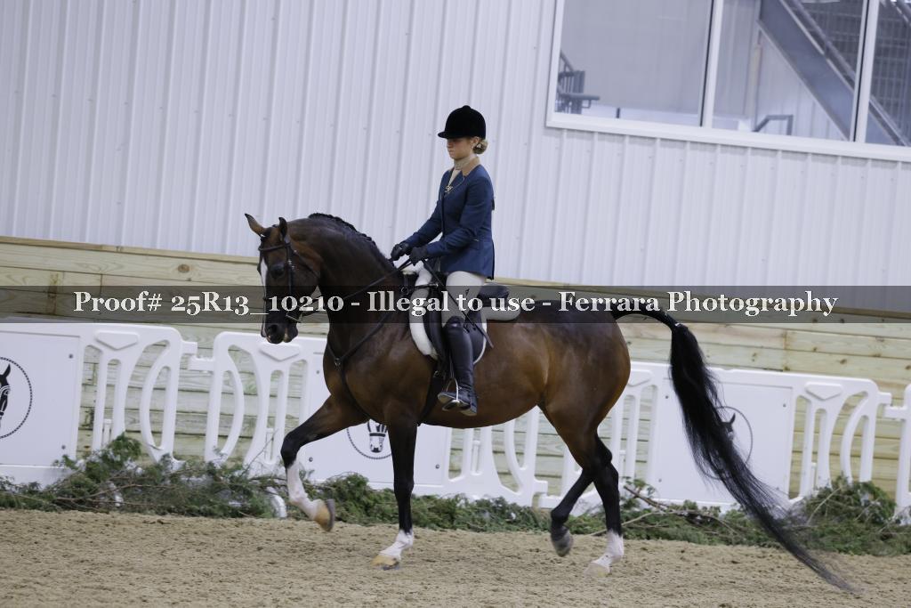 Proof 25R13_10210