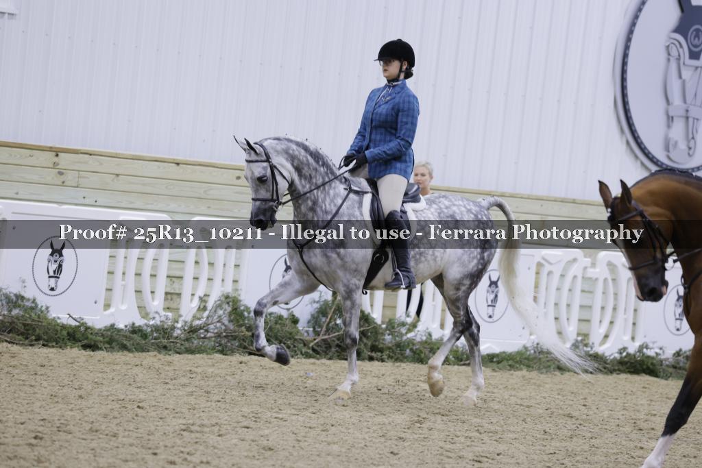 Proof 25R13_10211