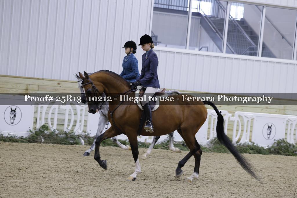 Proof 25R13_10212