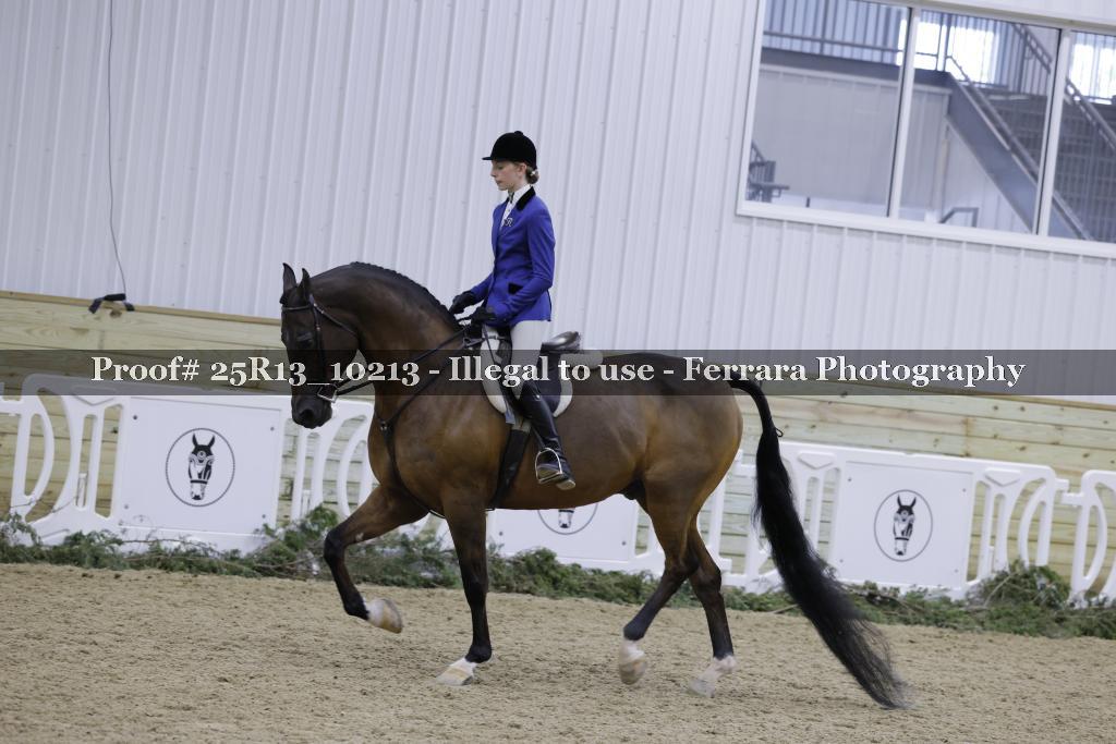 Proof 25R13_10213