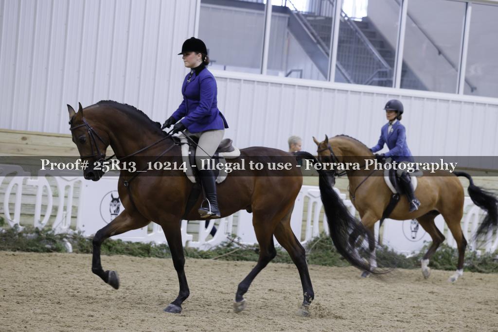 Proof 25R13_10214