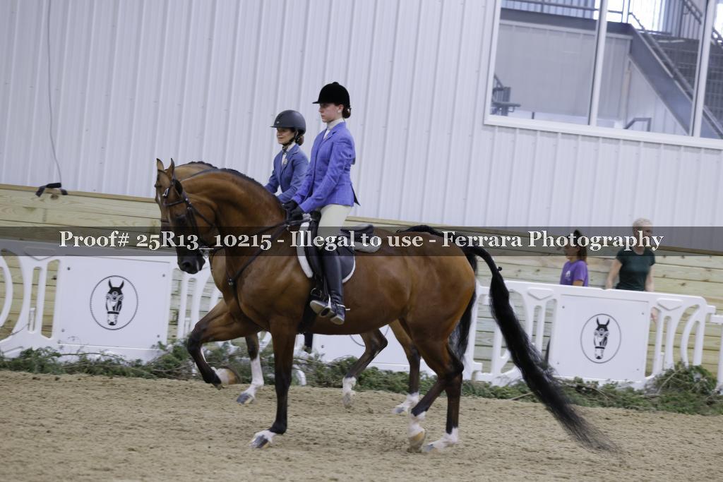 Proof 25R13_10215