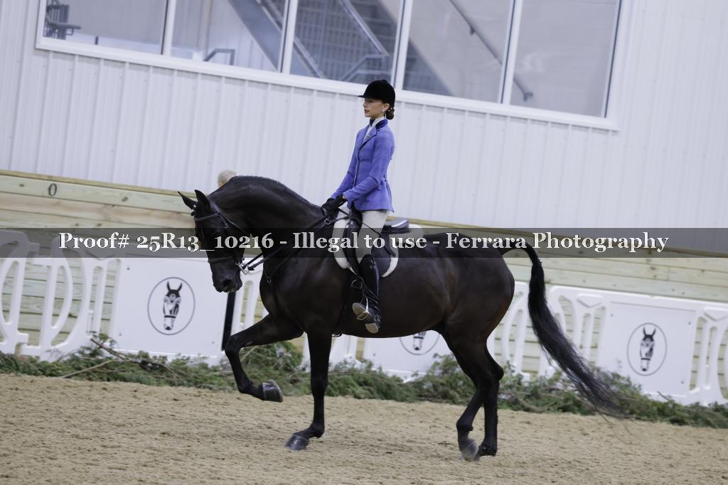 Proof 25R13_10216