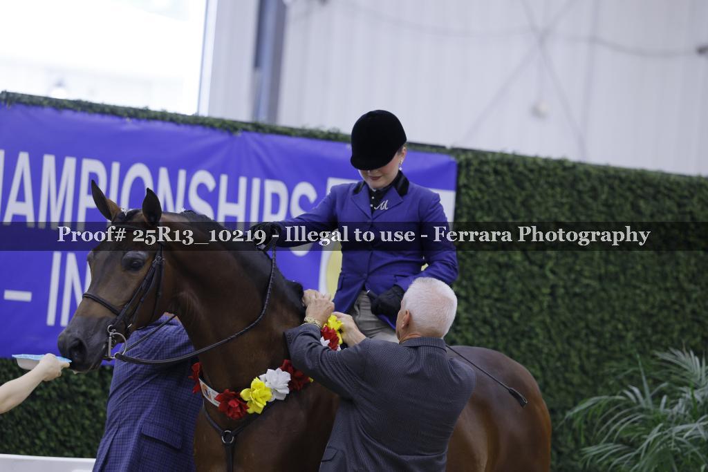 Proof 25R13_10219