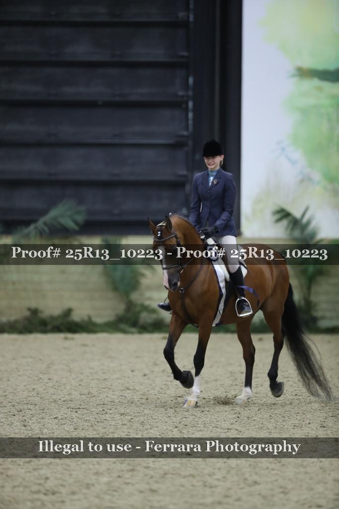 Proof 25R13_10223