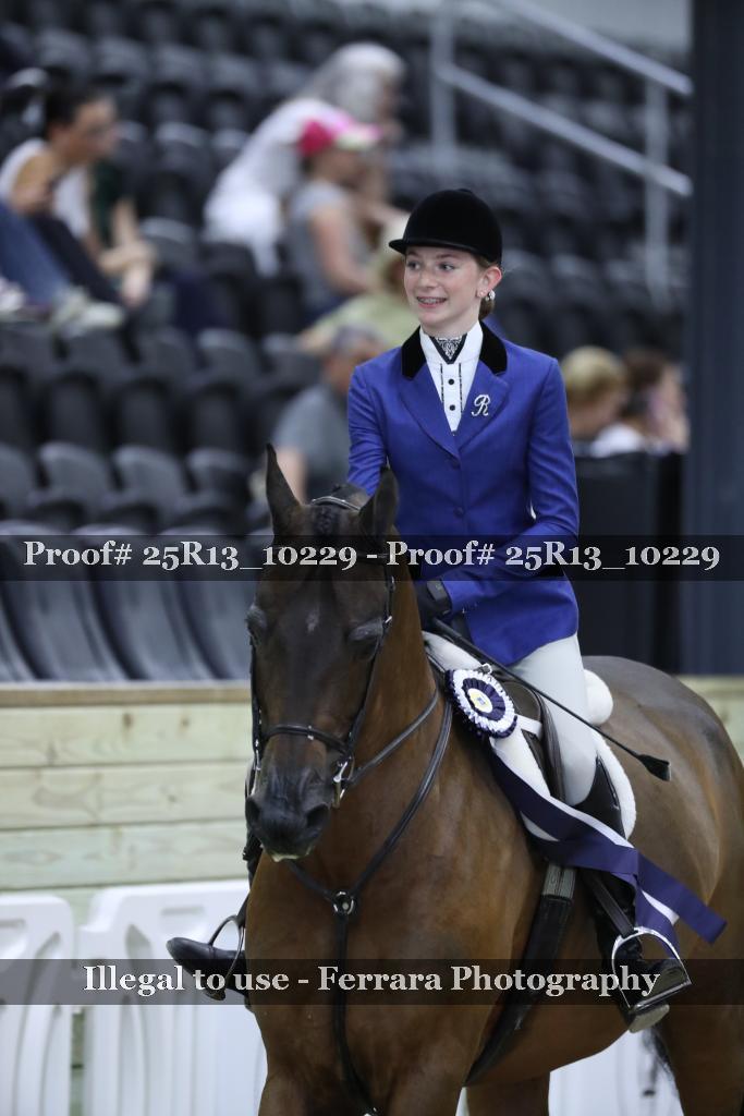 Proof 25R13_10229