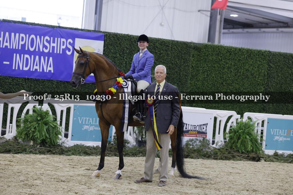 Proof 25R13_10230