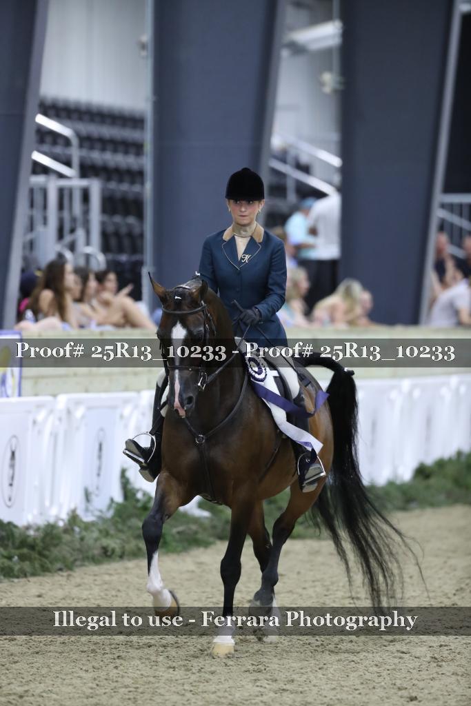Proof 25R13_10233