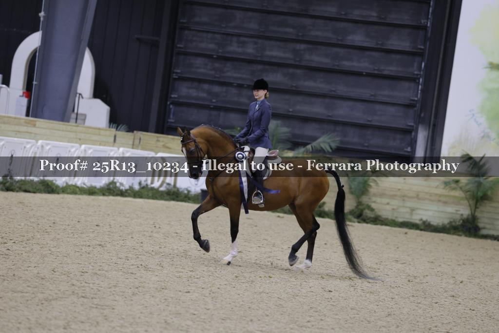 Proof 25R13_10234