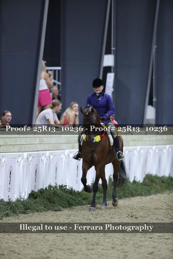 Proof 25R13_10236