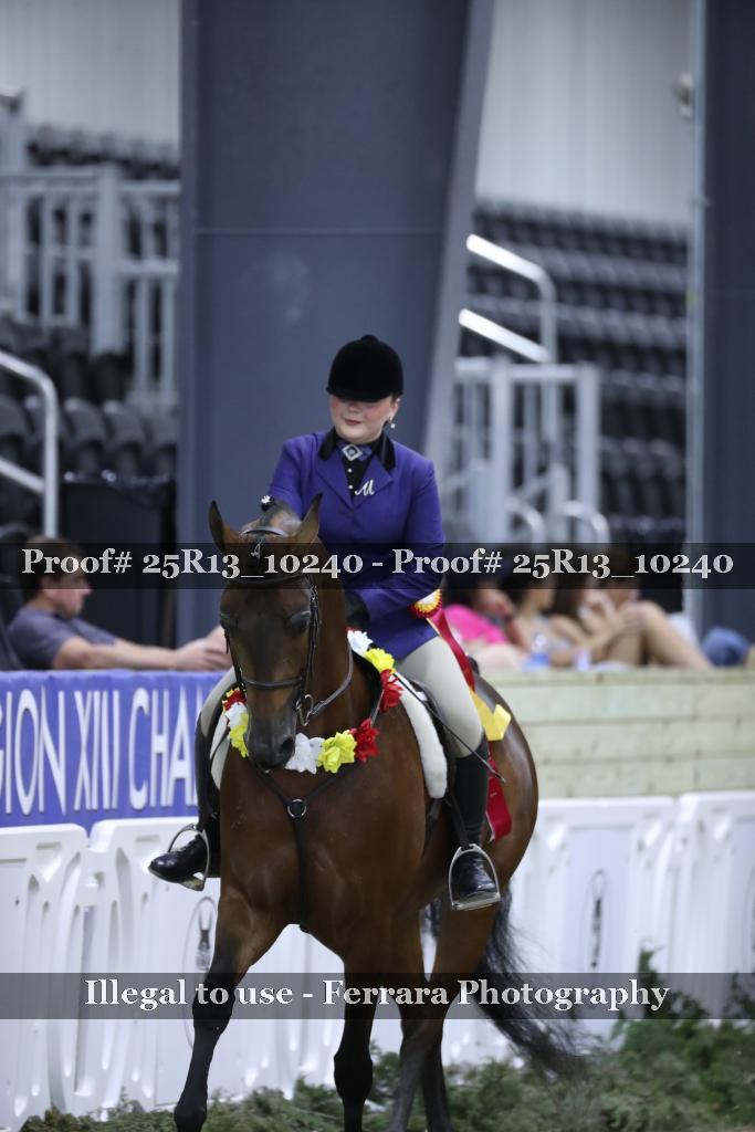 Proof 25R13_10240