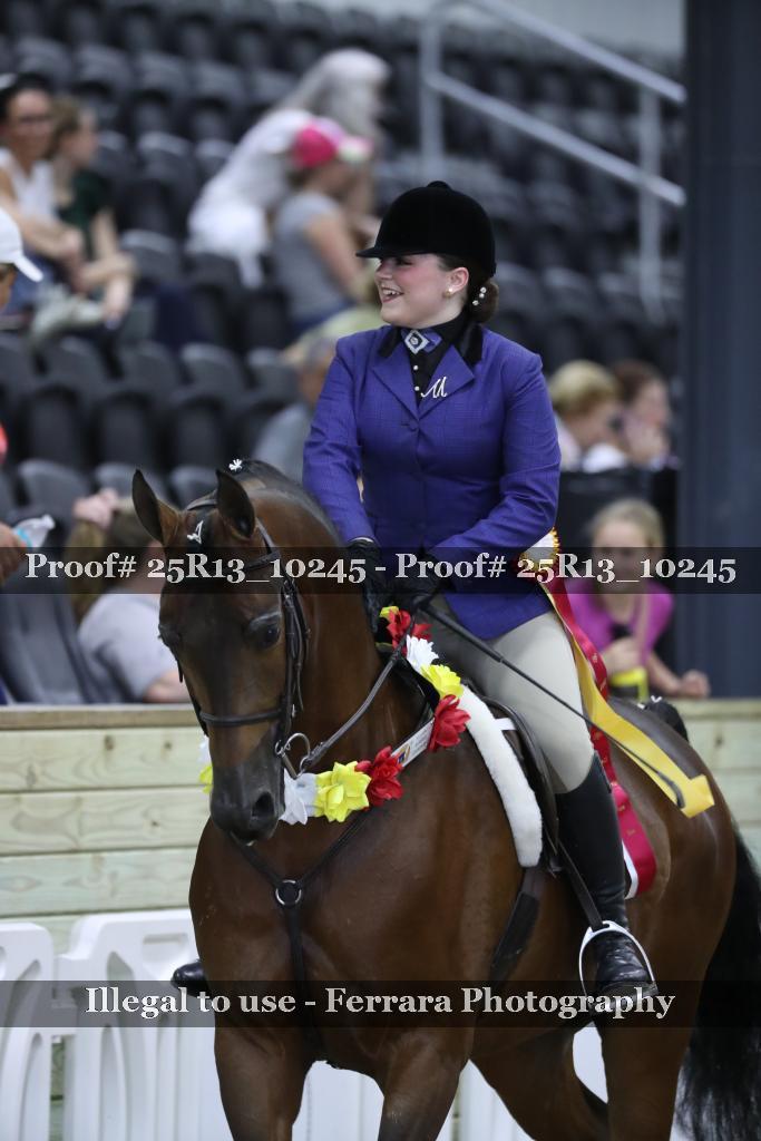 Proof 25R13_10245
