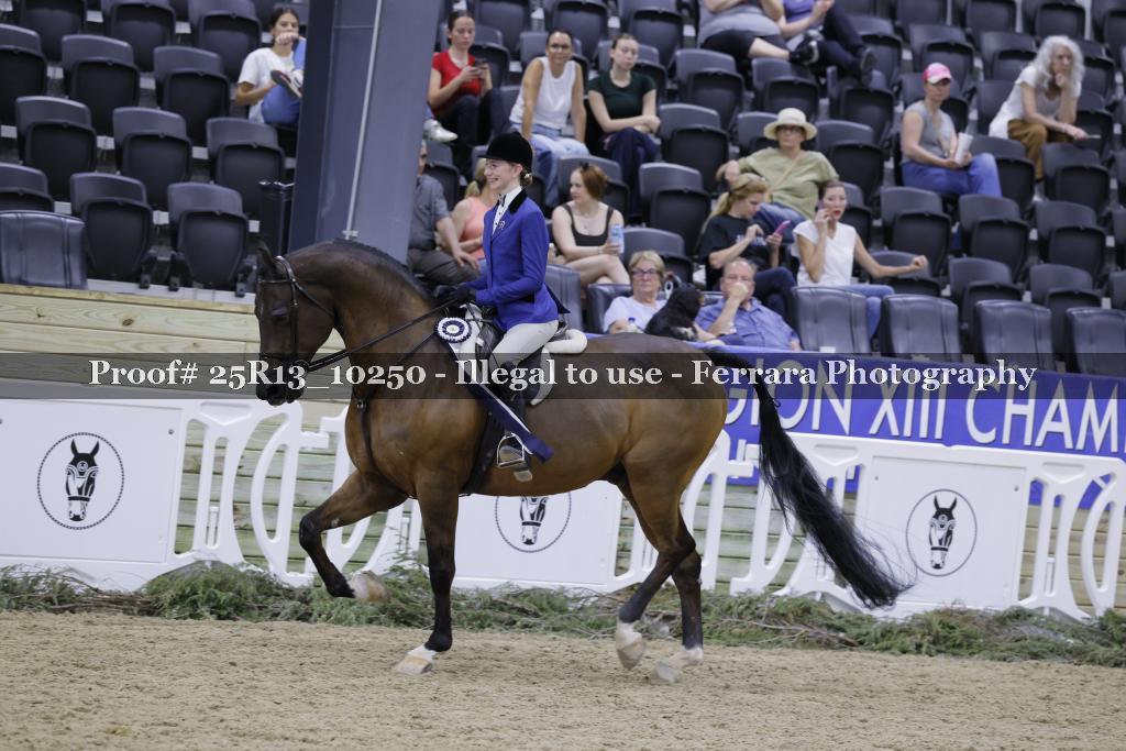 Proof 25R13_10250
