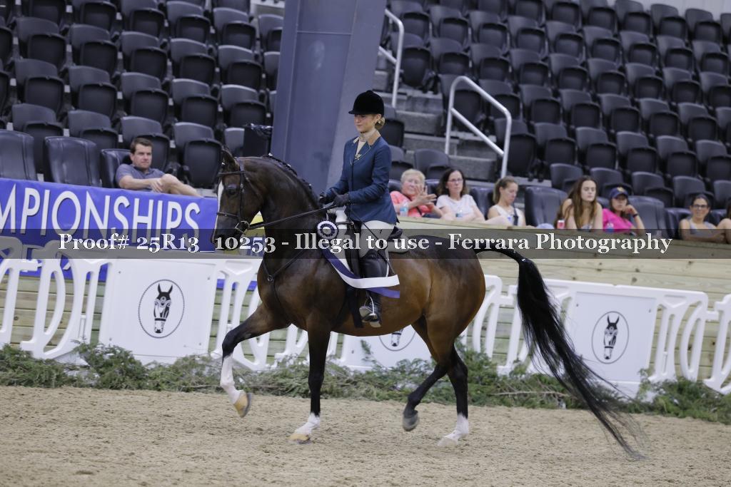 Proof 25R13_10253